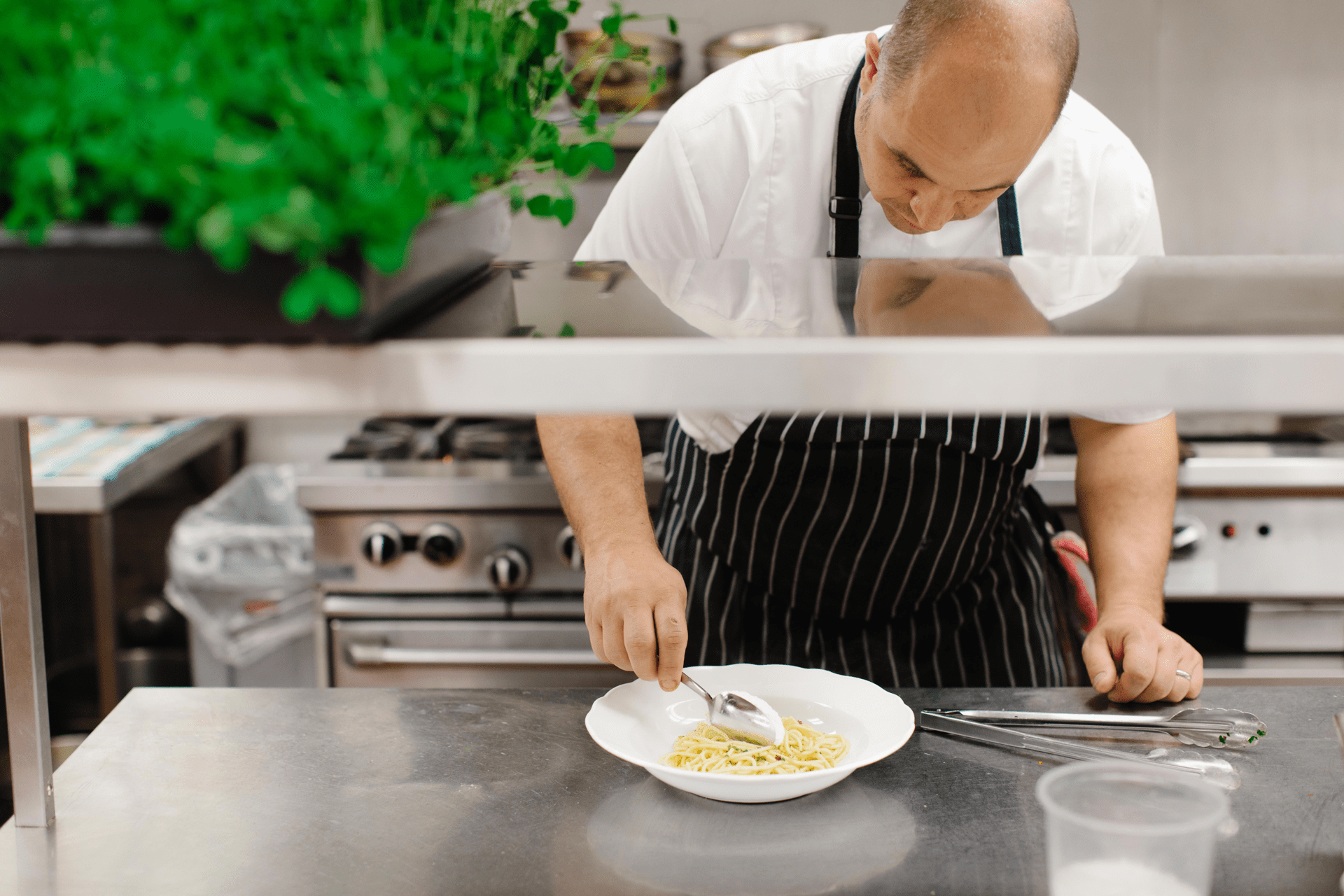 Chef in a kitchen, wearing a striped apron, carefully plating spaghetti in a white bowl on a stainless steel countertop. Cooking equipment is visible in the background, and a green plant is on the left. 124 on Queen Hotel and Spa | Hotel & Spa Niagara-on-the-lake | 1 (855) 988-4552