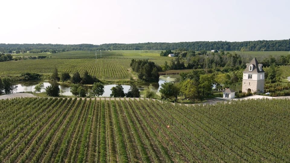 A lush vineyard stretches across rolling hills under a clear sky. A stone building with a pointed roof stands to the right, near a reflective pond surrounded by trees. Dense green forest covers the distant background. 124 on Queen Hotel and Spa | Hotel & Spa Niagara-on-the-lake | 1 (855) 988-4552