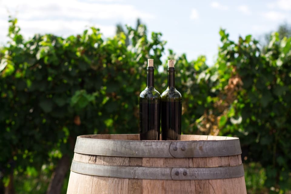Two wine bottles stand on a wooden barrel amidst a vineyard with lush green grapevines under a partly cloudy sky. 124 on Queen Hotel and Spa | Hotel & Spa Niagara-on-the-lake | 1 (855) 988-4552 Two wine bottles stand on a wooden barrel amidst a vineyard with lush green grapevines under a partly cloudy sky. 124 on Queen Hotel and Spa | Hotel & Spa Niagara-on-the-lake | 1 (855) 988-4552